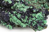 Azurite and Malachite Crystal Association - China #215832-3